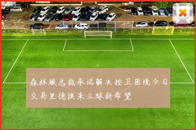 森林狼总裁承诺解决控卫困境今日交易里德换来三球新希望