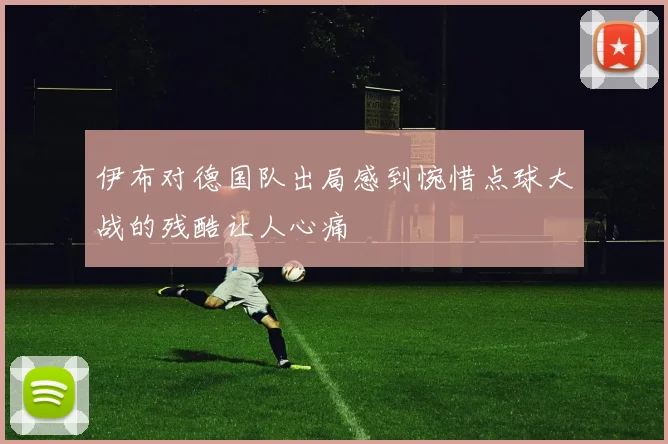 伊布对德国队出局感到惋惜点球大战的残酷让人心痛